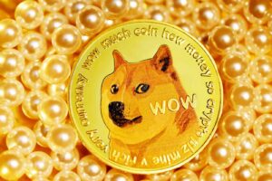 Learn about dogecoin:1yowhkksgi4= fintechzoom