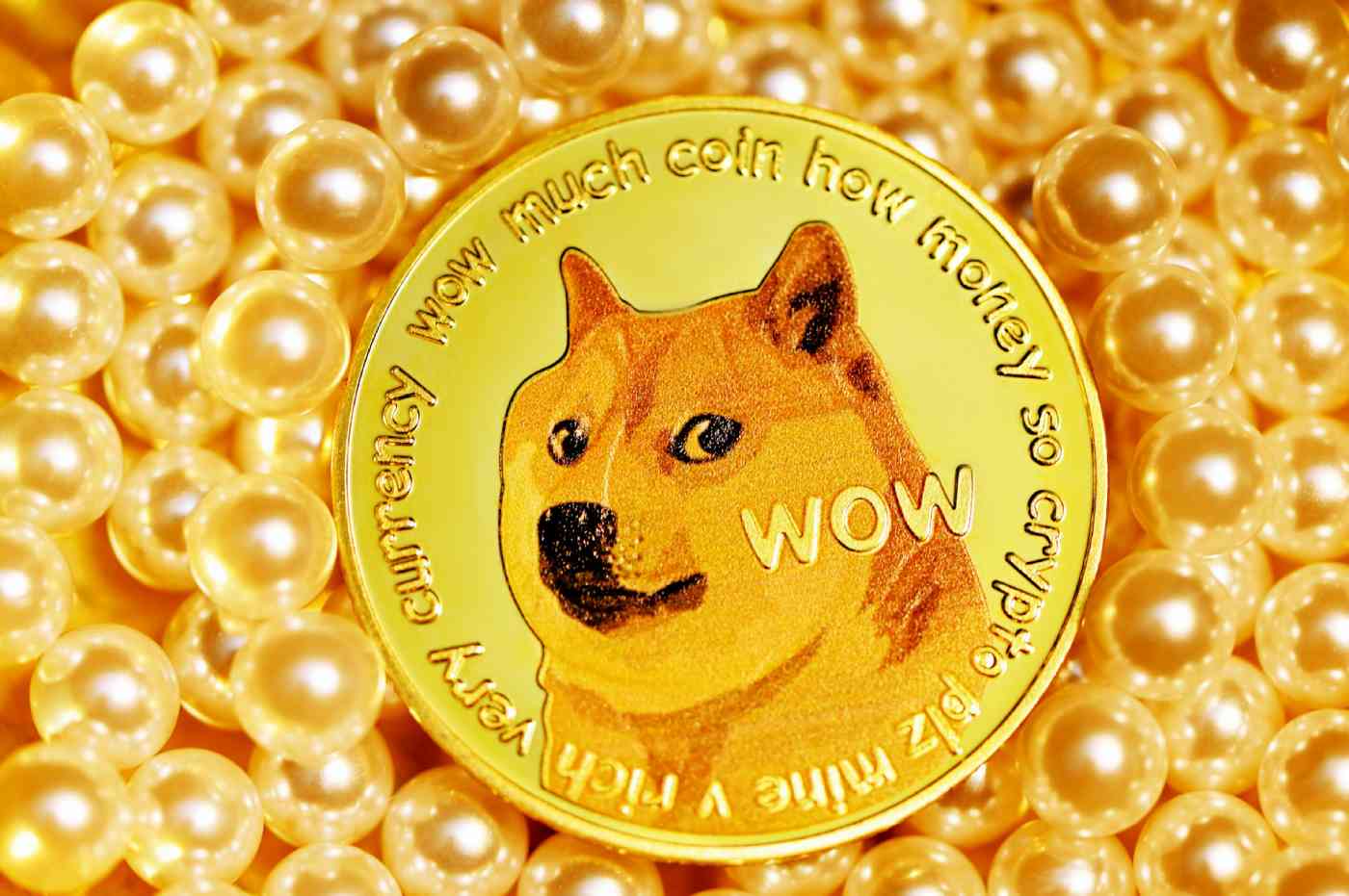 Dogecoin:1yowhkksgi4= fintechzoom